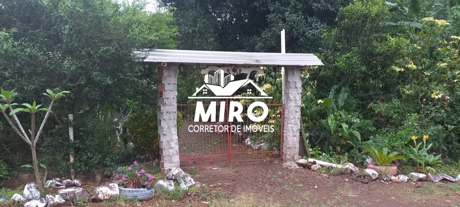 Imagem 5 de VENDE-SE CHÁCARA COM GRANJA DE SUÍNOS EM MISSAL-PR